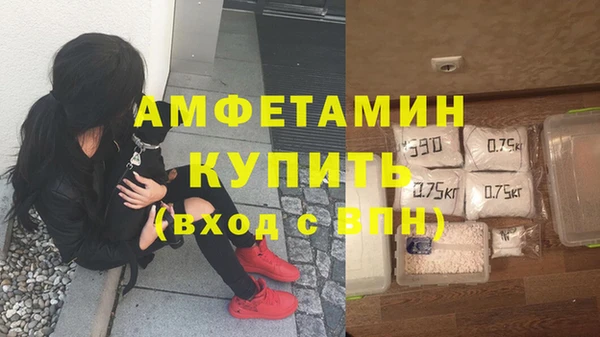 шишки Алзамай