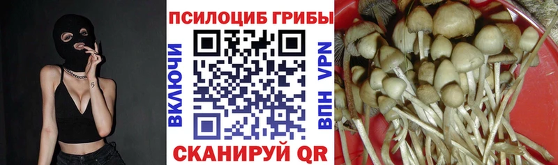 цена Дюртюли Галлюциногенные грибы мицелий