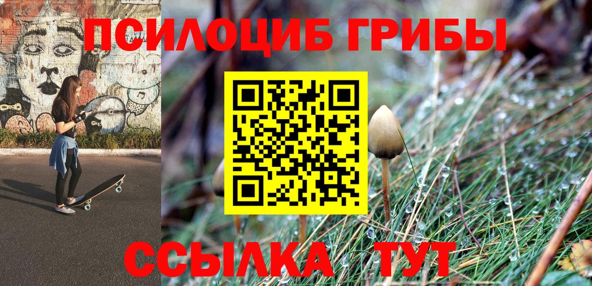 Галлюциногенные грибы ЛСД  Псилоцибиновые грибы Psilocybe  Вход с VPN  Дюртюли 