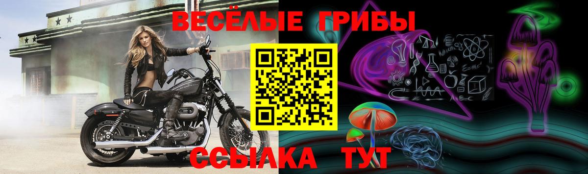 Псилоцибиновые грибы прущие грибы Дюртюли